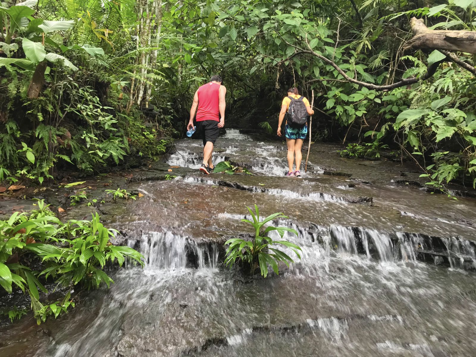 Ebano Nature Reserve close to Dominical Costa Rica