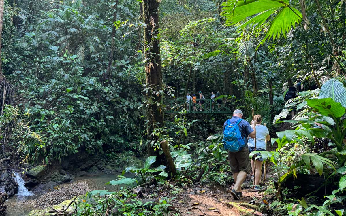 Group hiking in a Costa Rica jungle at the Hacienda Ebano, very close to Dominical