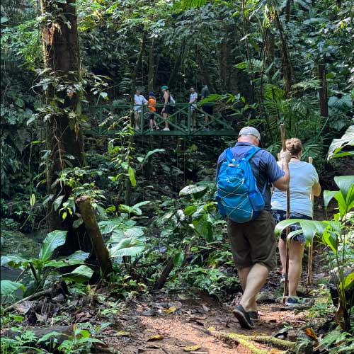 Group hiking in a Costa Rica jungle at the Hacienda Ebano, very close to Dominical