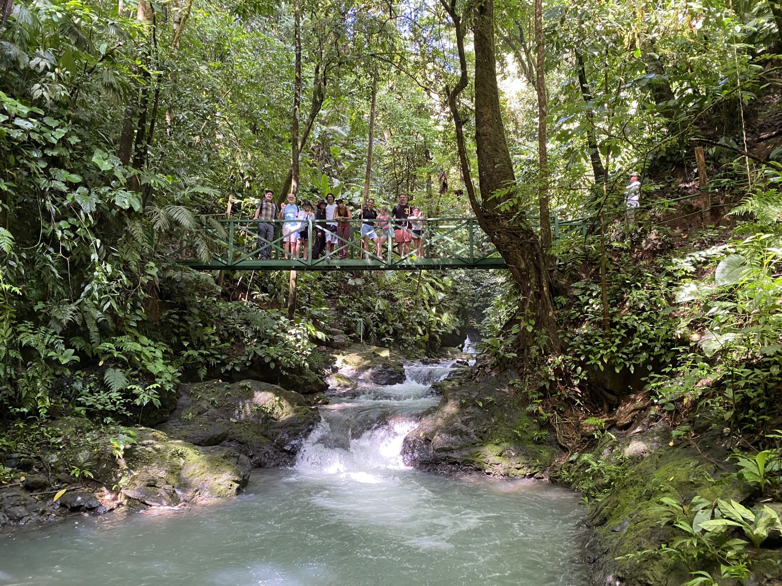 Bridge at trail 2, Hacienda Ébano, a Nature Reserve and Farm with Rainforest and Waterfalls at Barú, Costa Rica