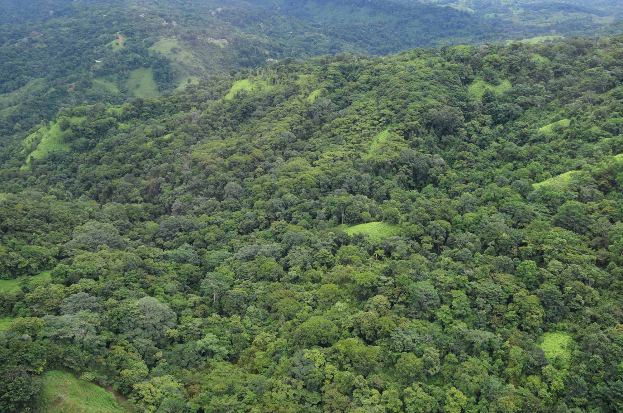 Rainforest Natural Reserve in Baru Costa Rica