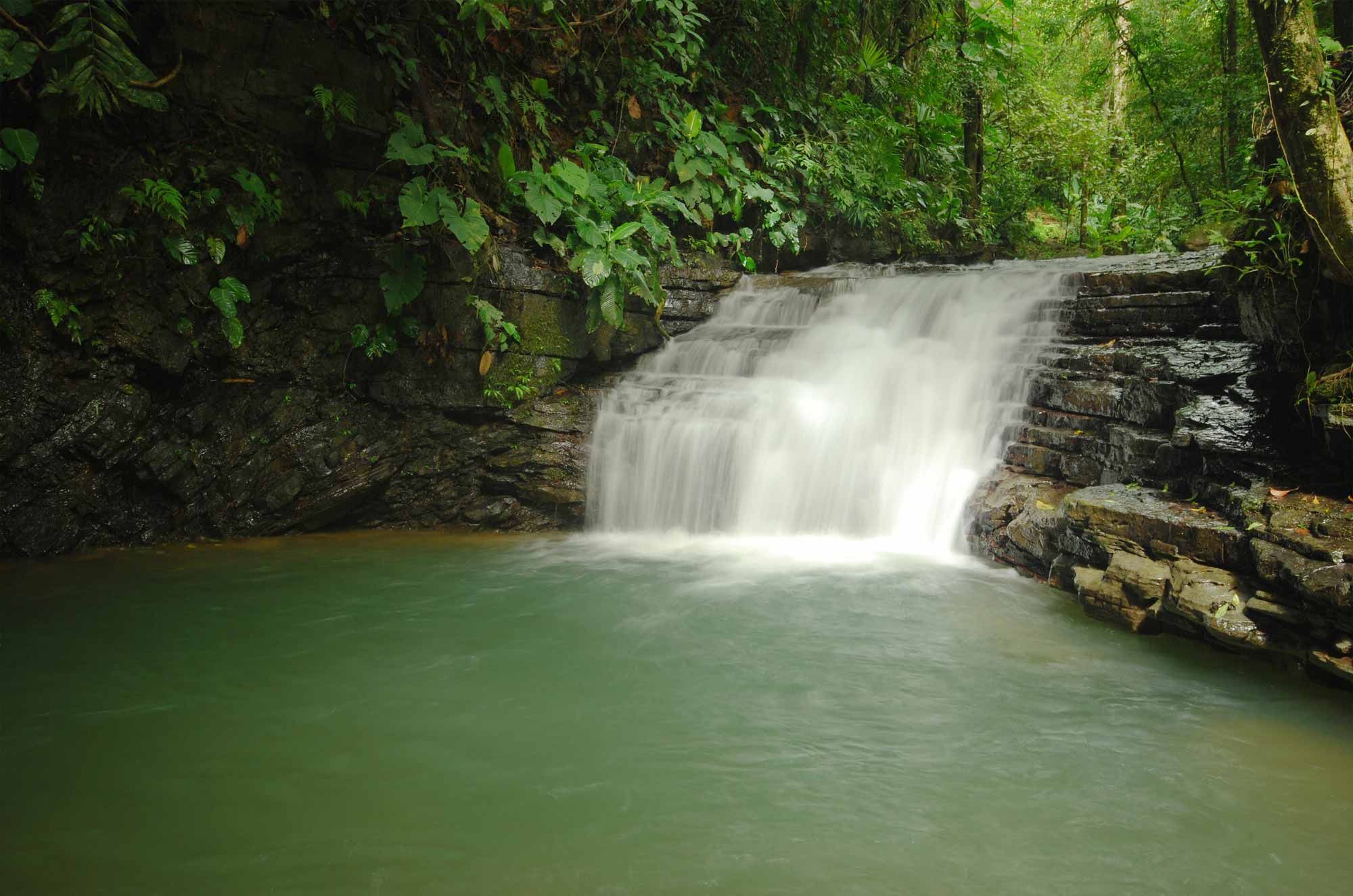 Pristine waterfall and natural pool in the Rainforest in Hacienda Ebano Baru Costa Rica