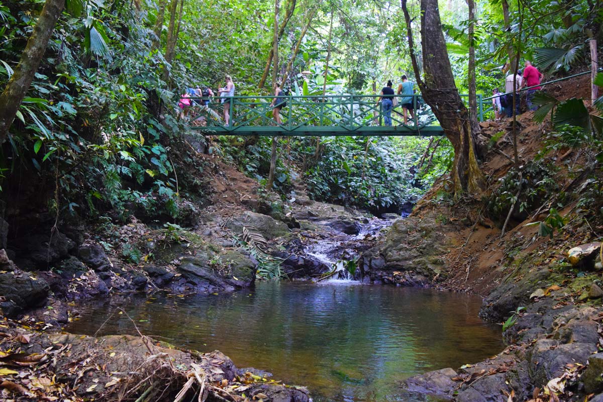 Bridge over a river in the Rainforest at Hacienda Ebano - near Dominical - Baru Costa Rica