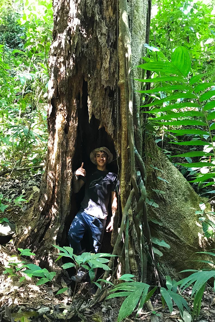 Getting inside a tree in Dominical - Baru Costa Rica