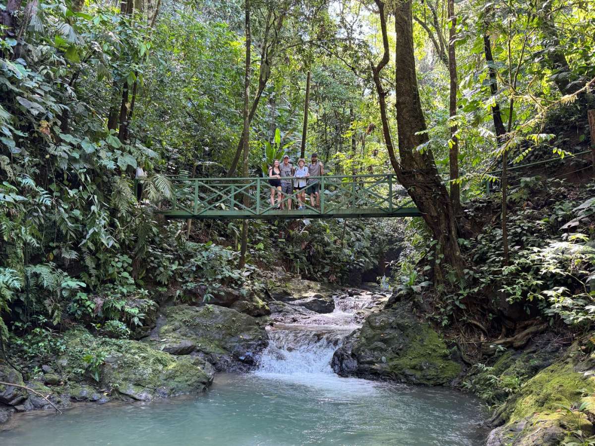 Bridge in the trails of the Hacienda Ebano nature reserve