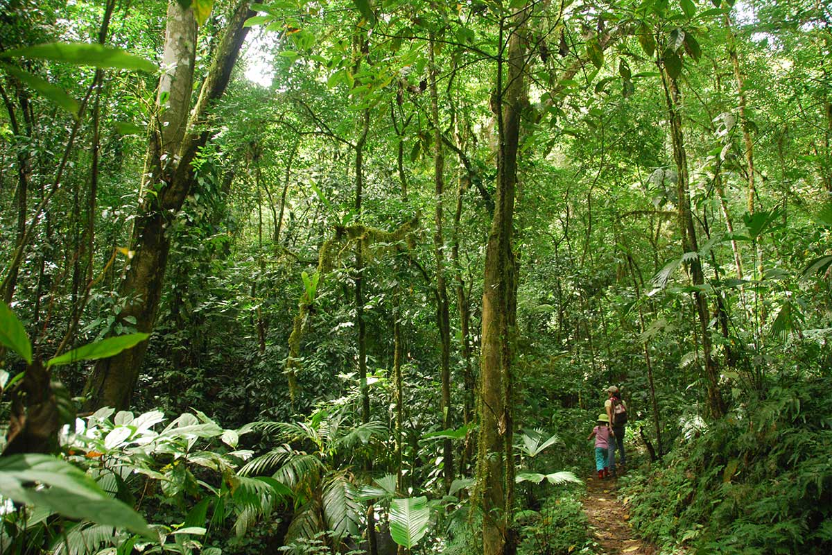 Hiking trail in the Safari Tropical Tour at Hacienda Ebano - near Dominical - Baru Costa Rica